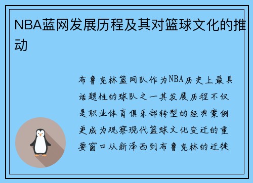 NBA蓝网发展历程及其对篮球文化的推动