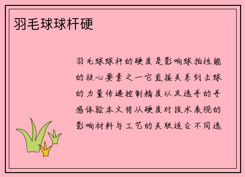 羽毛球球杆硬